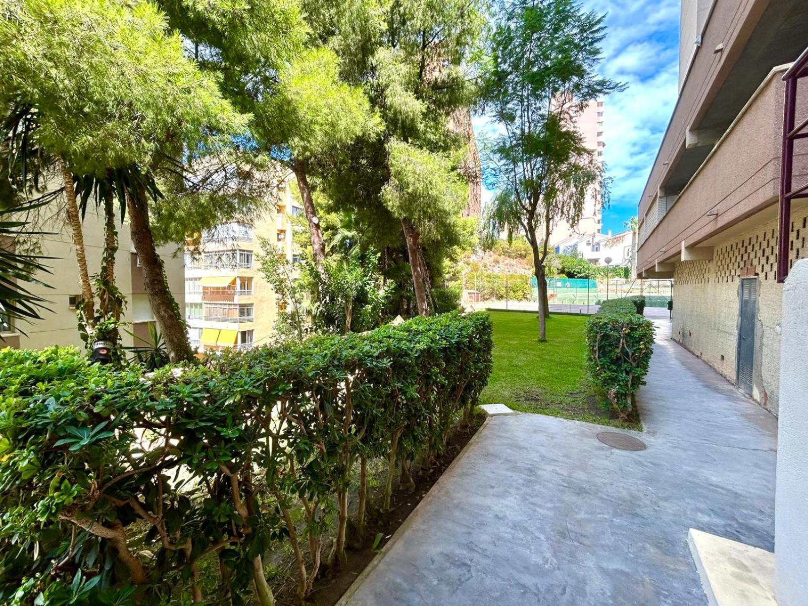Apartamento Cardenal If